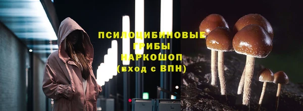 apvp Алексин
