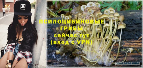 apvp Алексин