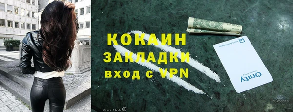apvp Алексин